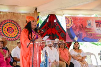 La parlamentaria se manifestó en su discurso como oradora de orden en la sesión solemne por los 533 años del Día de la Resistencia Indígena.