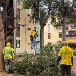 La labor forma parte del plan integral que busca mejorar la seguridad y el entorno de las comunidades residenciales.