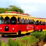 La Fundación Tranvía de Maracaibo se congratuló por la nominación.