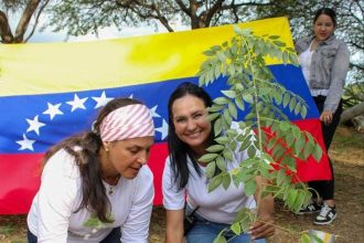 Siete ejemplares de las especies nativas: apamate, caro caro, almendrón, mataratón y otros, fueron sembrados en la Vereda del Lago.
